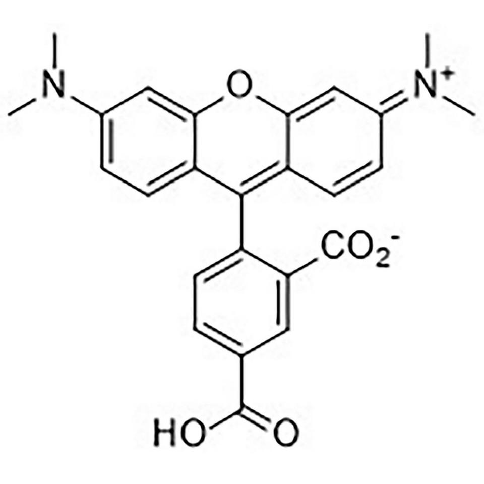 5-Carboxytetramethylrhodamine, 1 g, Glass Screw-Top